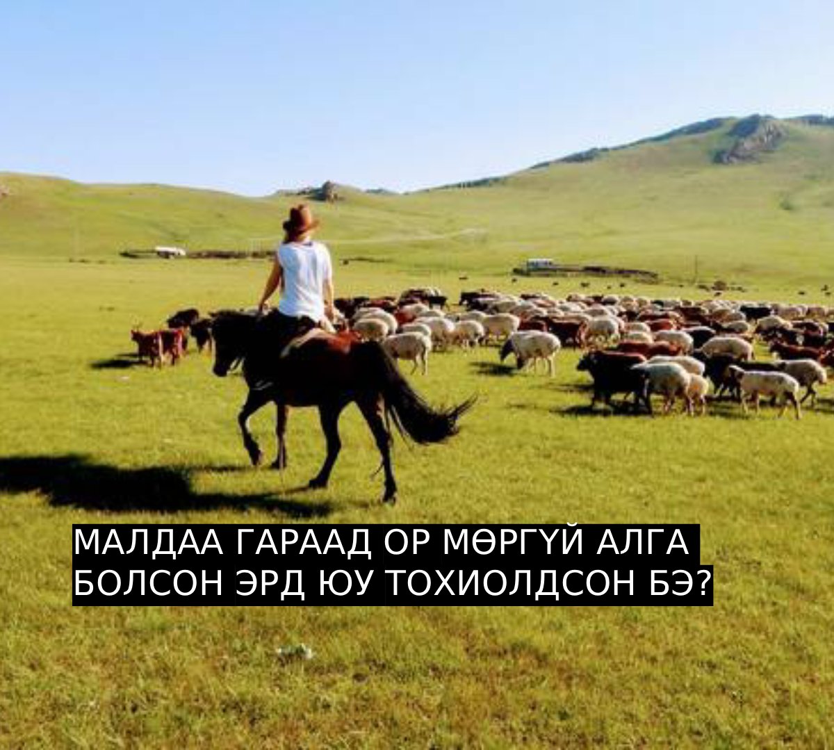 МАЛДАА ГАРААД ОР МӨРГҮЙ АЛГА БОЛСОН ЭРД ЮУ ТОХИОЛДСОН БЭ? 😳